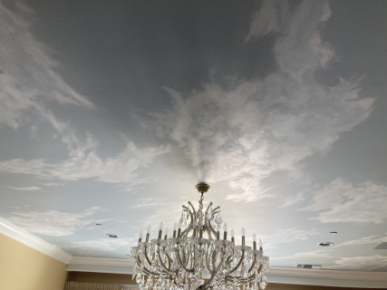 ceiling mural ceiling mural